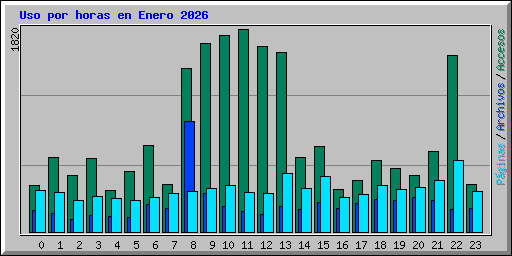 Uso por horas en Enero 2026